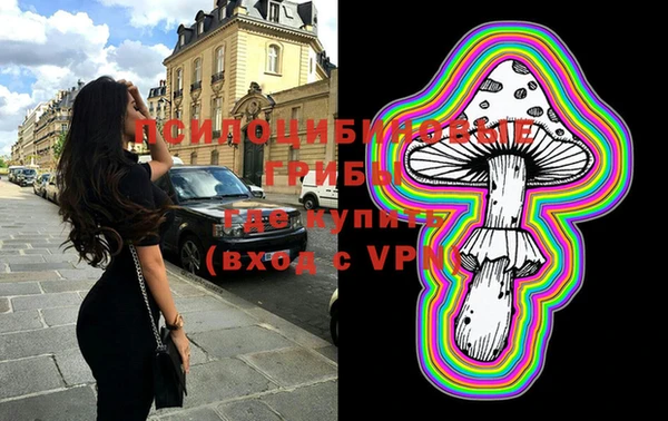 ПСИЛОЦИБИНОВЫЕ ГРИБЫ Липки