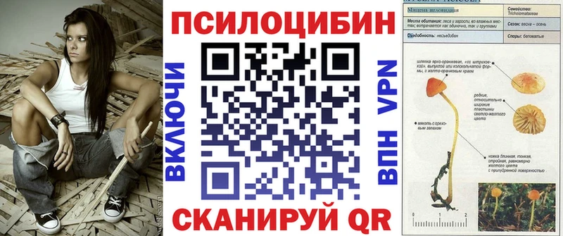 Купить  Ядрин  Галлюциногенные грибы мухоморы 
