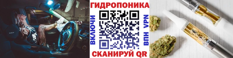 Бошки Шишки Amnesia  Купить закладки  Ядрин 